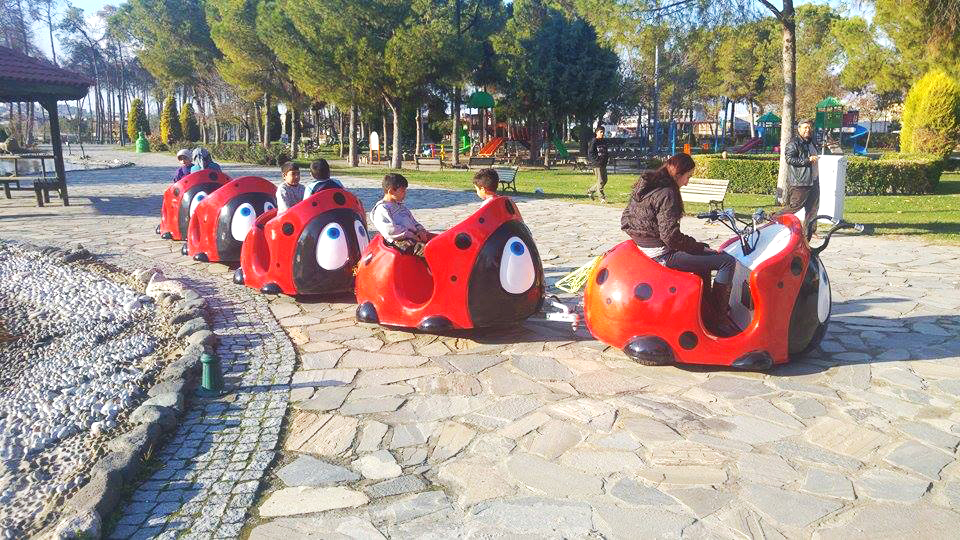 ladybug train manufacturer