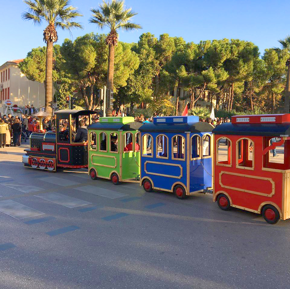 Mini Train Fast Mini Electric Trains - What To Take Notice When Buying A Train ...