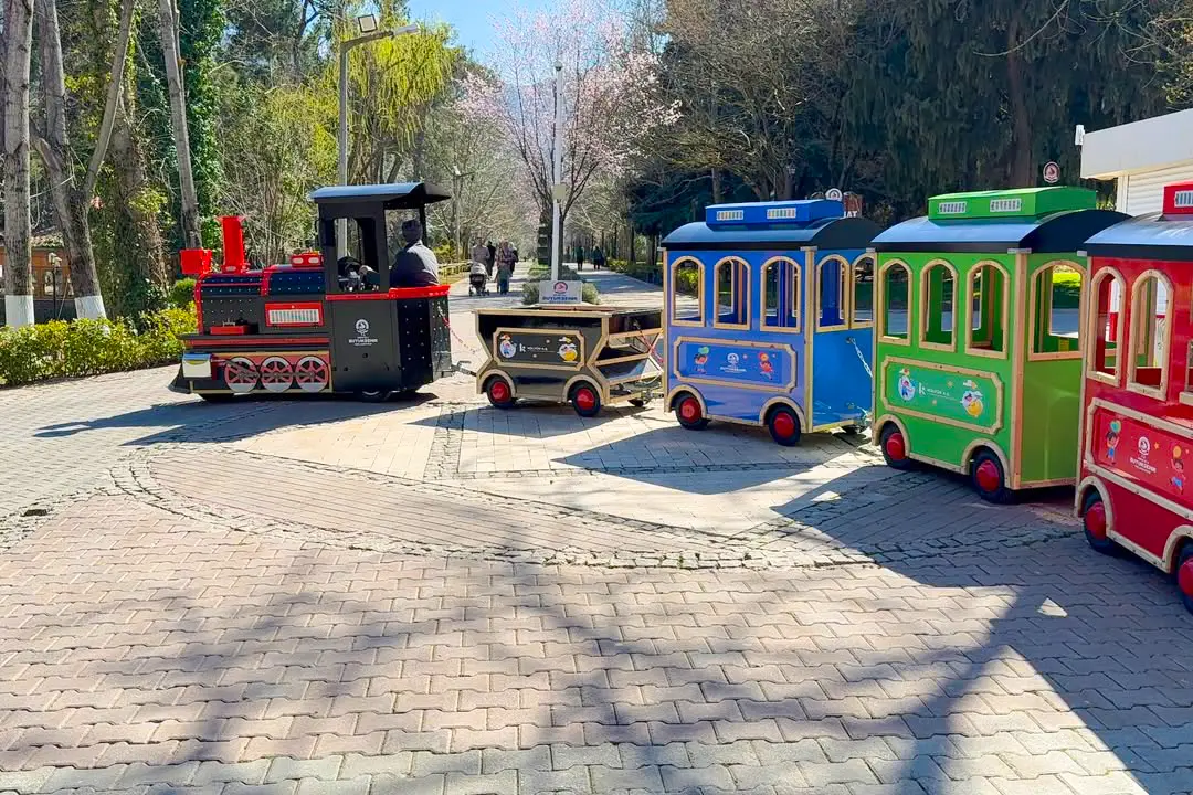A Small Train Bringing Big Smiles to Denizli